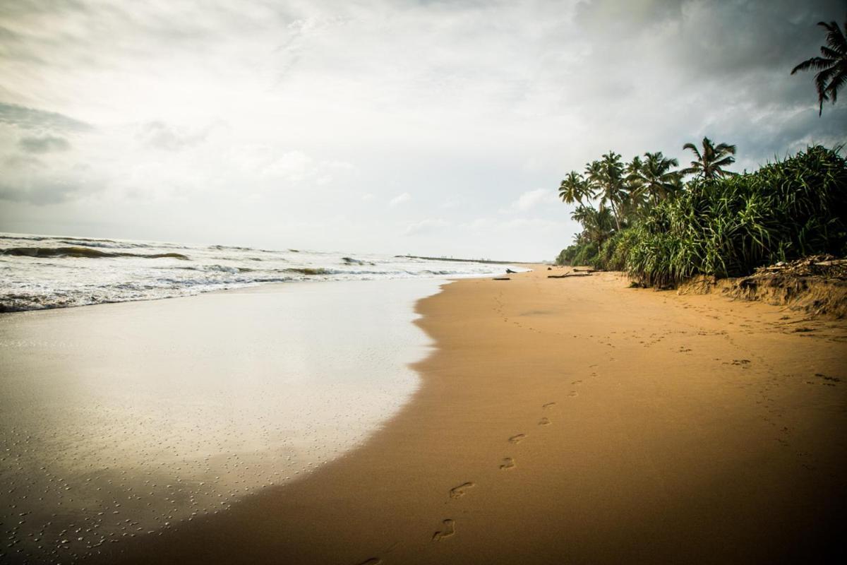 Infinity Of Sri Lanka Hotel Paiyagala Exterior photo