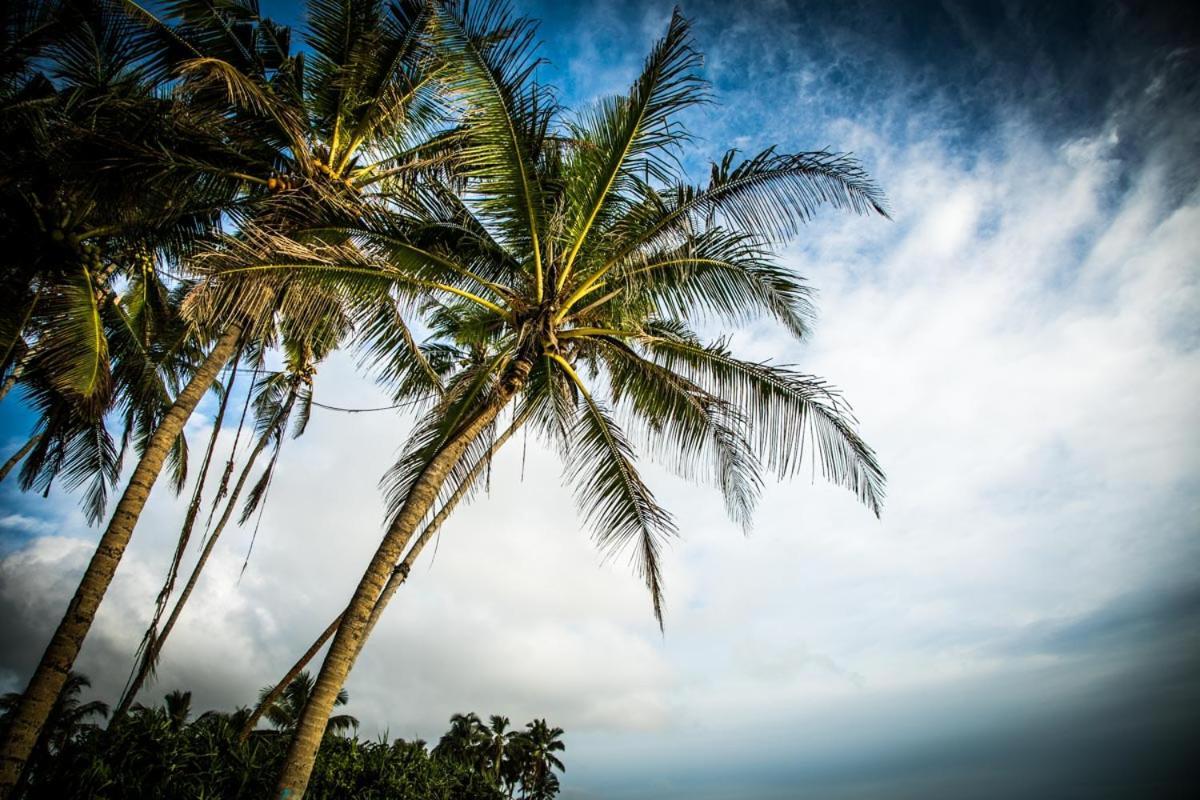 Infinity Of Sri Lanka Hotel Paiyagala Exterior photo